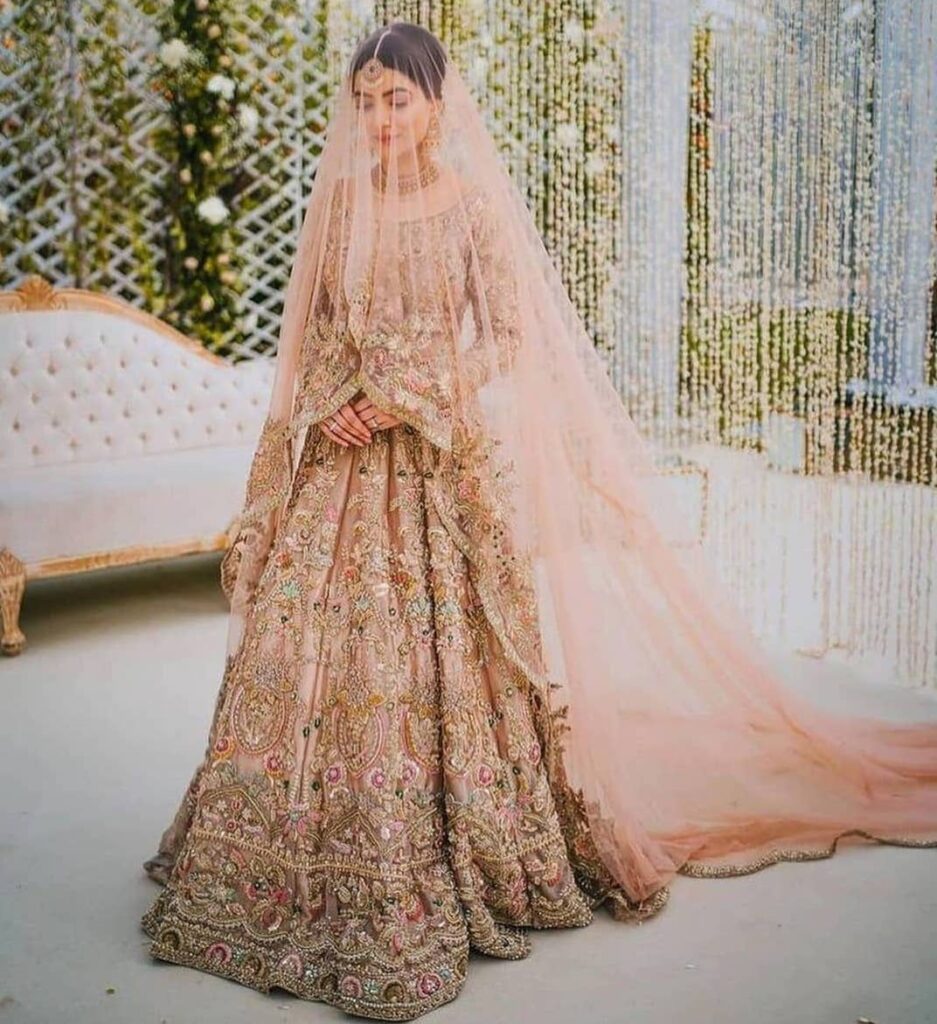 Pakistani Bridal Dresses 2023