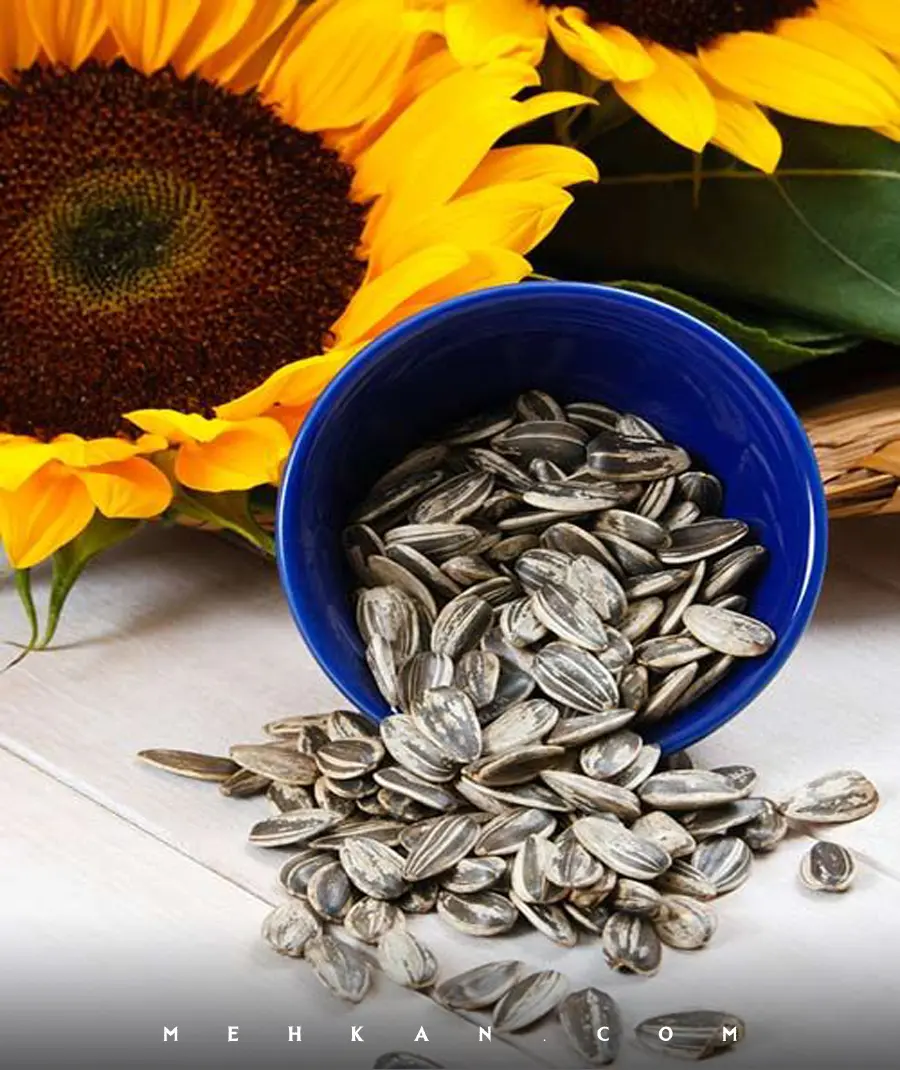 Health Benefits of Sunflower Seeds